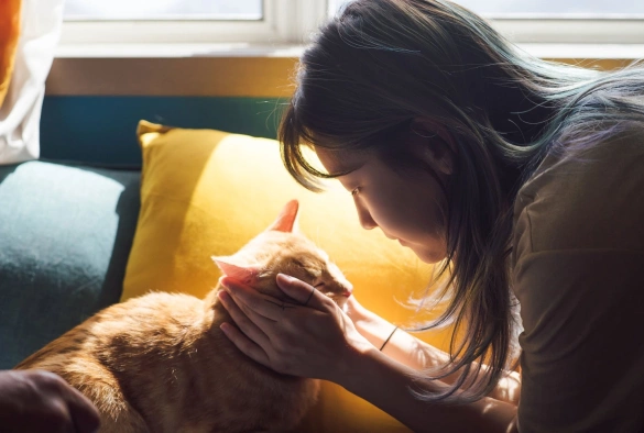 Кадр из дорамы Малышка на драйве