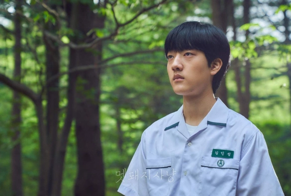 Кадр из дорамы Охота на кабана