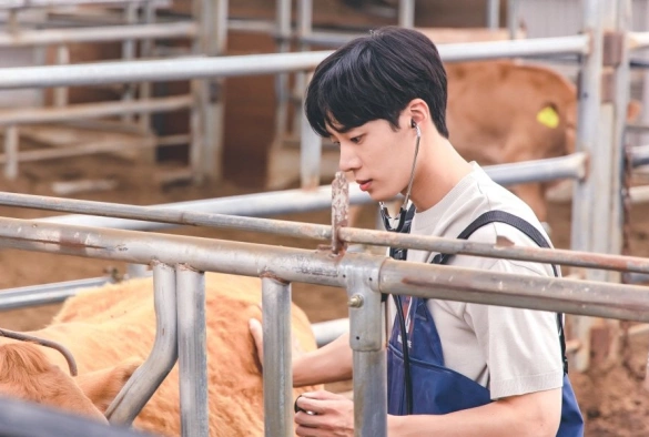 Кадр из дорамы Неожиданный деревенский дневник