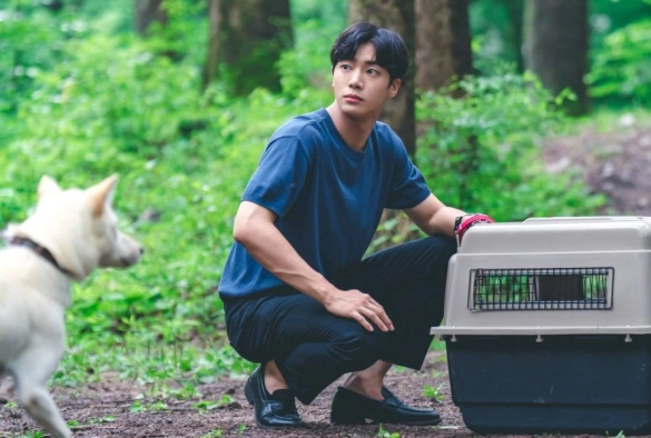 Кадр из дорамы Неожиданный деревенский дневник