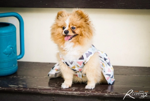 Кадр из дорамы Помни меня