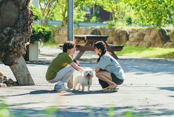 Кадр из дорамы Я ничего не хочу делать