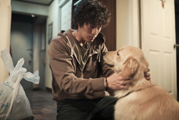 Кадр из дорамы Всегда