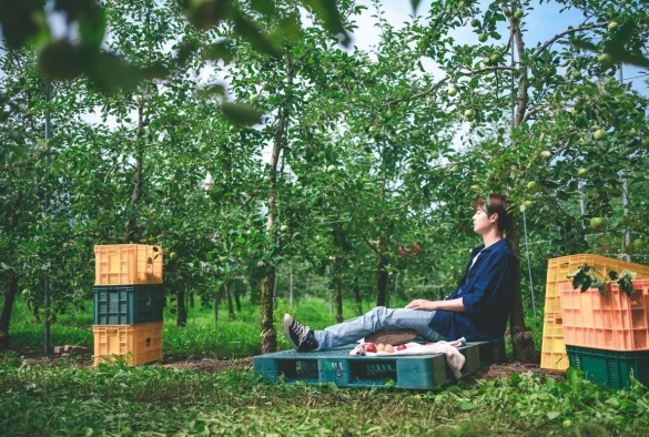 Кадр из дорамы Трактор, полный любви