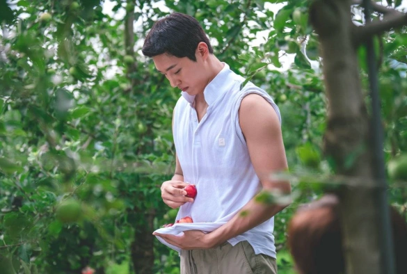 Кадр из дорамы Трактор, полный любви