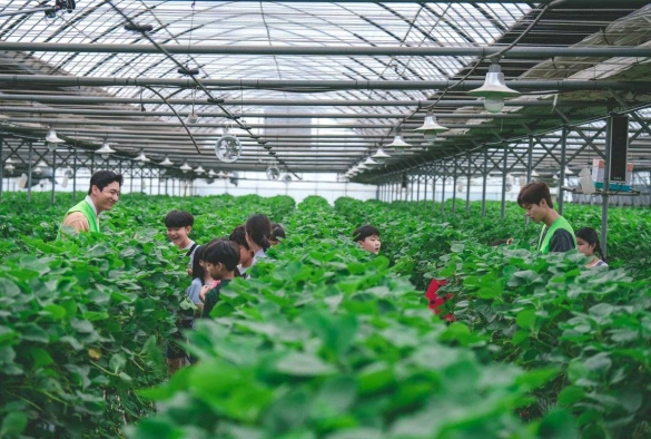 Кадр из дорамы Трактор, полный любви