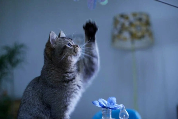 Кадр из дорамы Дверь в лето