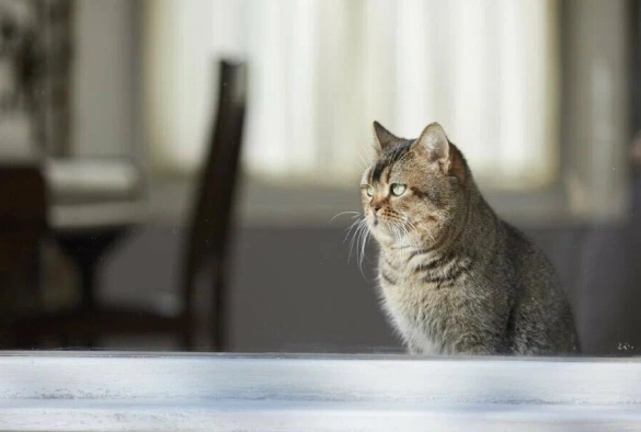 Кадр из дорамы Дверь в лето