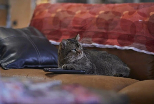 Кадр из дорамы Дверь в лето