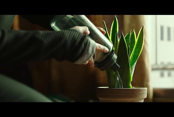 Кадр из дорамы #живой