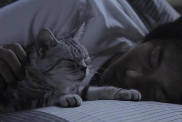 Кадр из дорамы Ты и я