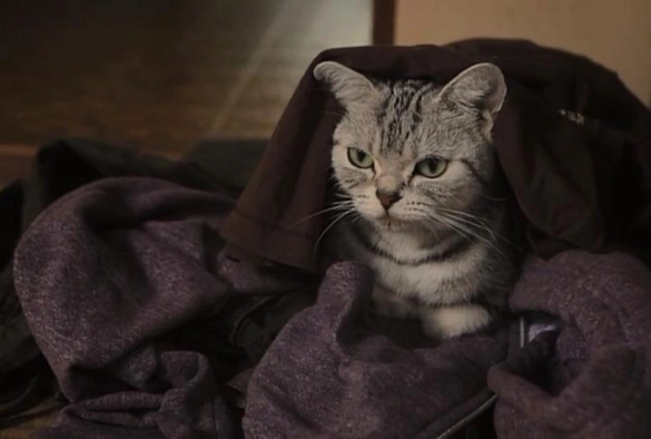 Кадр из дорамы Ты и я