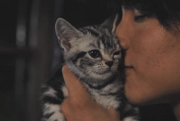 Кадр из дорамы Ты и я