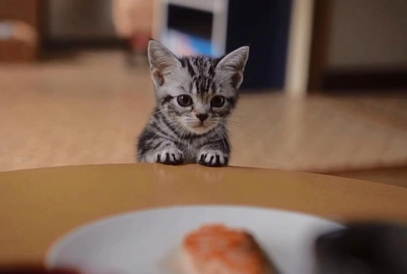 Кадр из дорамы Ты и я