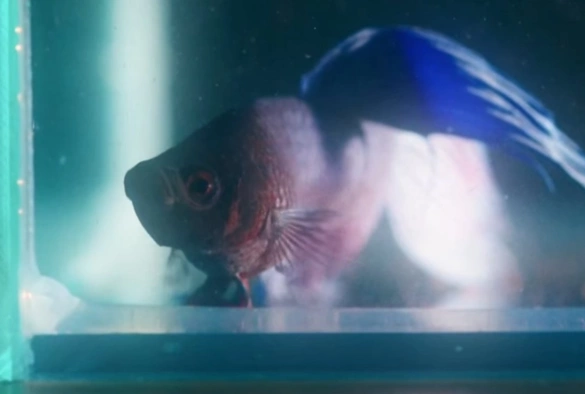 Кадр из дорамы Атлет