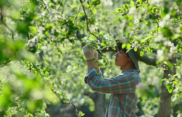 Кадр из дорамы Маленький лес