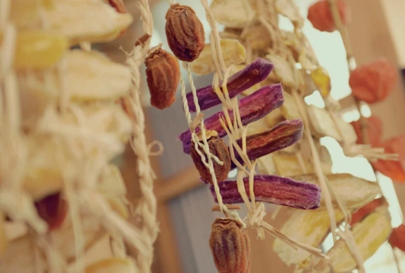 Кадр из дорамы Маленький лес: Лето, Осень