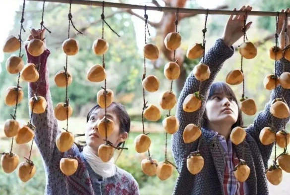 Кадр из дорамы Маленький лес: Лето, Осень