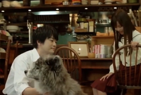 Кадр из дорамы Друг моего брата