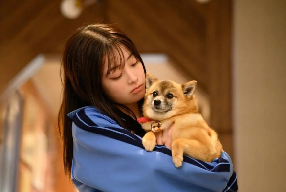 Кадр из дорамы Сделать предложение королю