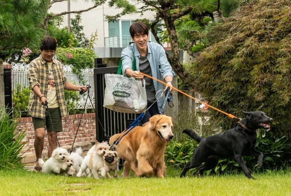 Кадр из дорамы Мой пёс Руни