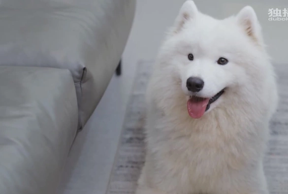 Кадр из дорамы Любя тебя