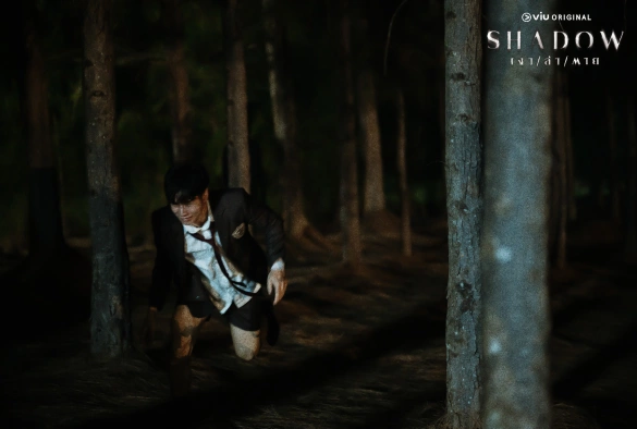 Кадр из дорамы Тень