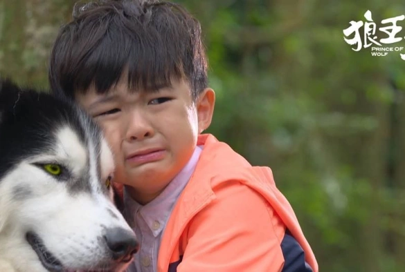Кадр из дорамы Принц волков