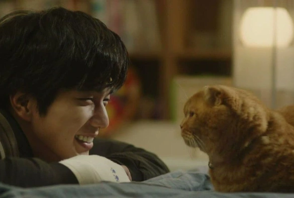 Кадр из дорамы Воображаемая кошка