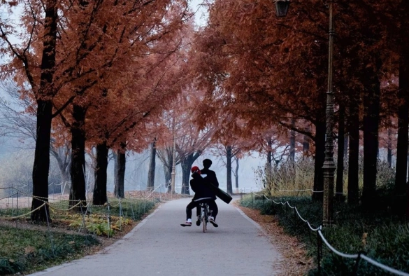 Кадр из дорамы В погоне за ветром