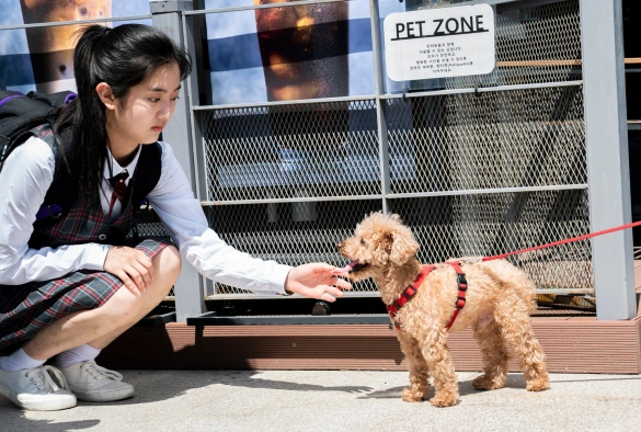 Кадр из дорамы Вкус страха