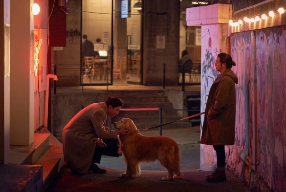 Кадр из дорамы Хвостатый переполох