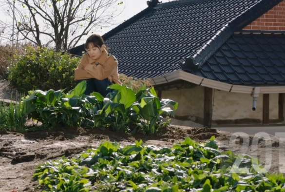 Кадр из дорамы Защитить короля