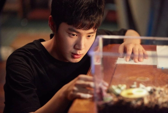 Кадр из дорамы Человеческие уроки