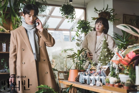 Кадр из дорамы Половина от половины