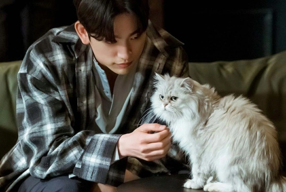 Кадр из дорамы Дьявольский судья