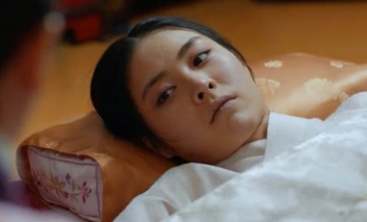 Книга семьи Гу 16 серия