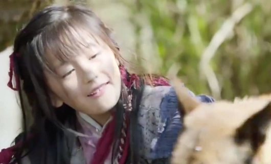 Легенда о Хуа Буци 12 серия