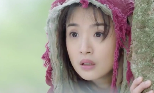 Легенда о Хуа Буци 20 серия