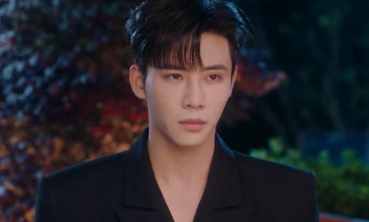 Сумеречная любовь 20 серия