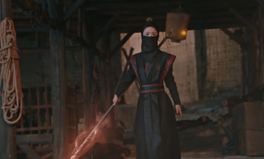 Путешествие с Фениксом 15 серия