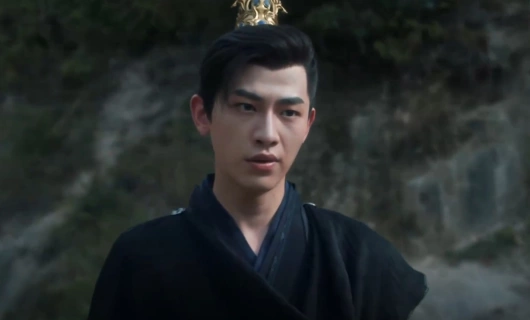 Путешествие с Фениксом 35 серия