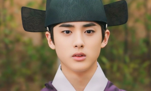 Наследный принц исчез 16 серия