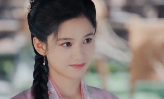 История Хуа Чжи 16 серия