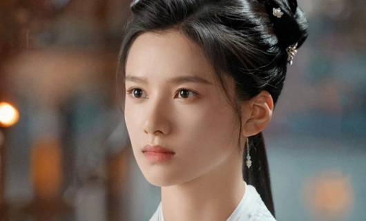 История Хуа Чжи 26 серия