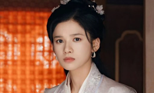 История Хуа Чжи 38 серия