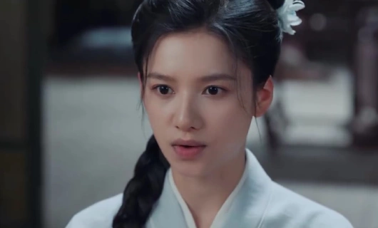 История Хуа Чжи 8 серия