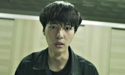 Двойник 8 серия