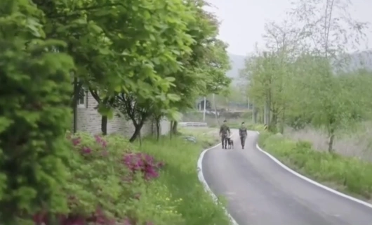 Поиск 4 серия