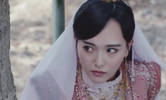 Принцесса Вэйян 25 серия